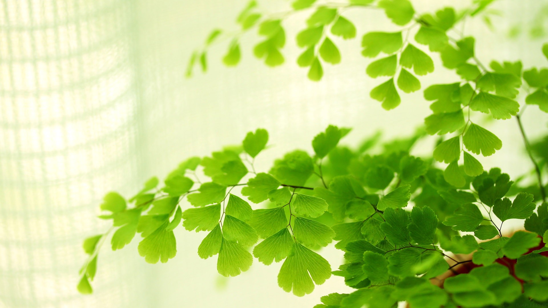 从“数据拼凑”到“精准断案”：深度剖析 RAG 系统中信息完整性的关键作用