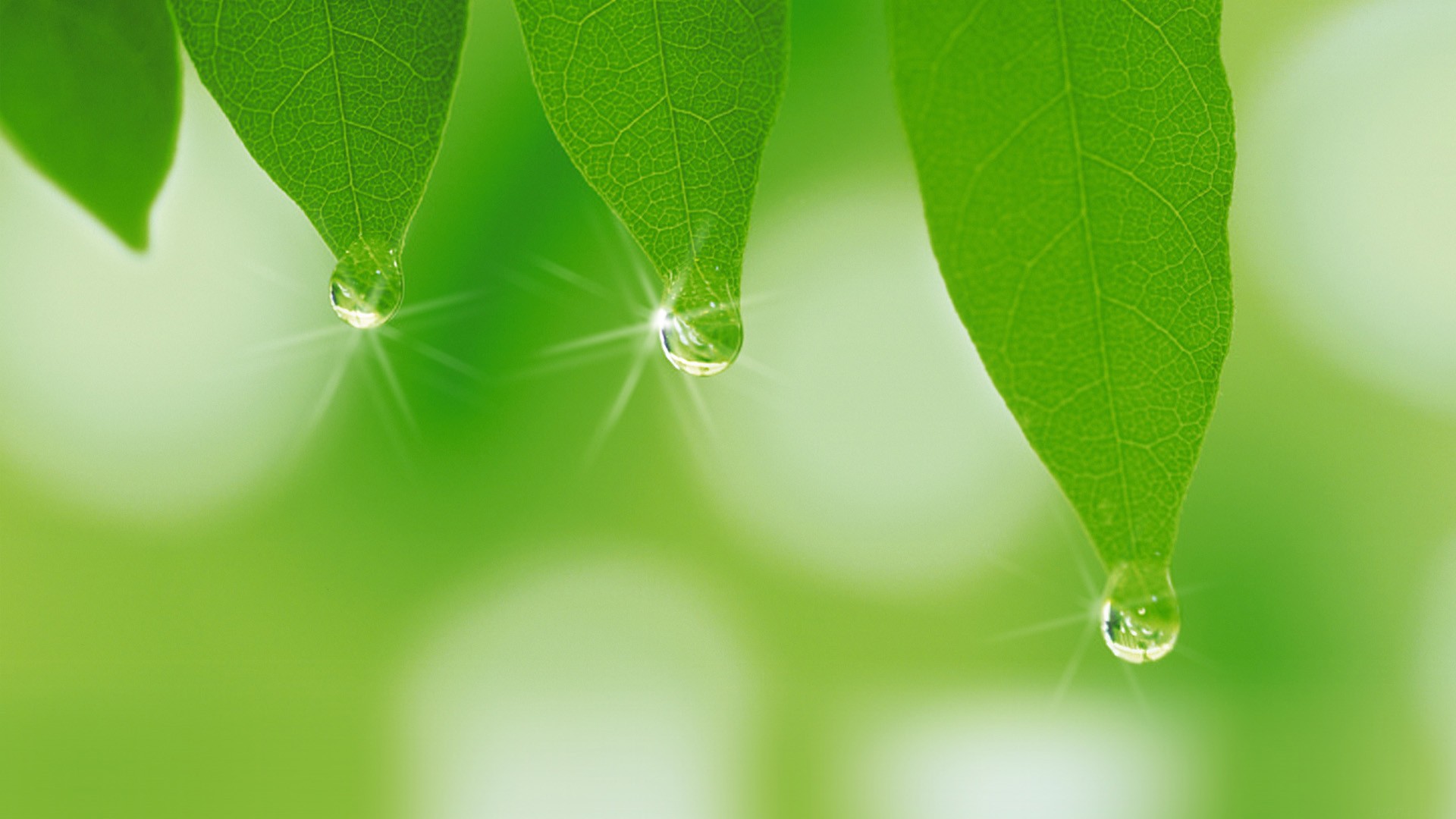 秘塔 AI 也终于悄悄上线了 DeepResearch。