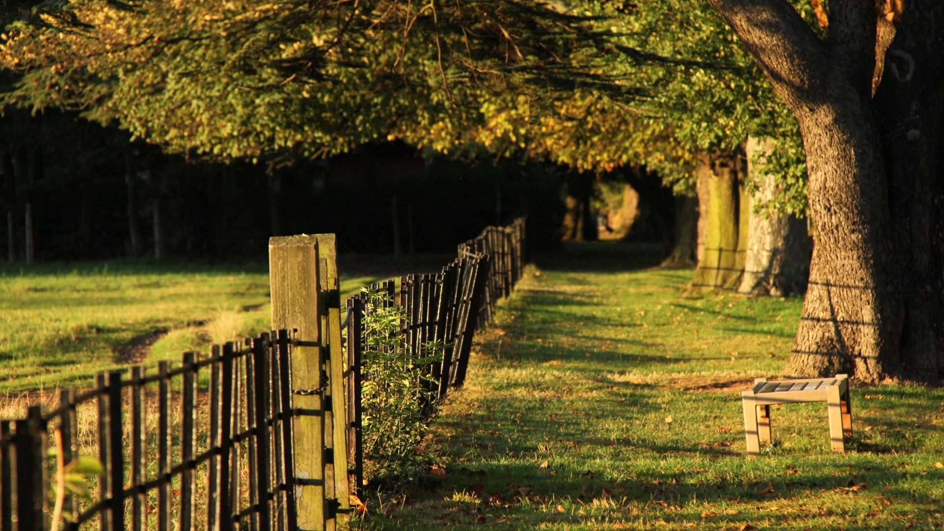 斯坦福大学教授李飞飞团队：2025 年人工智能发展报告总结！