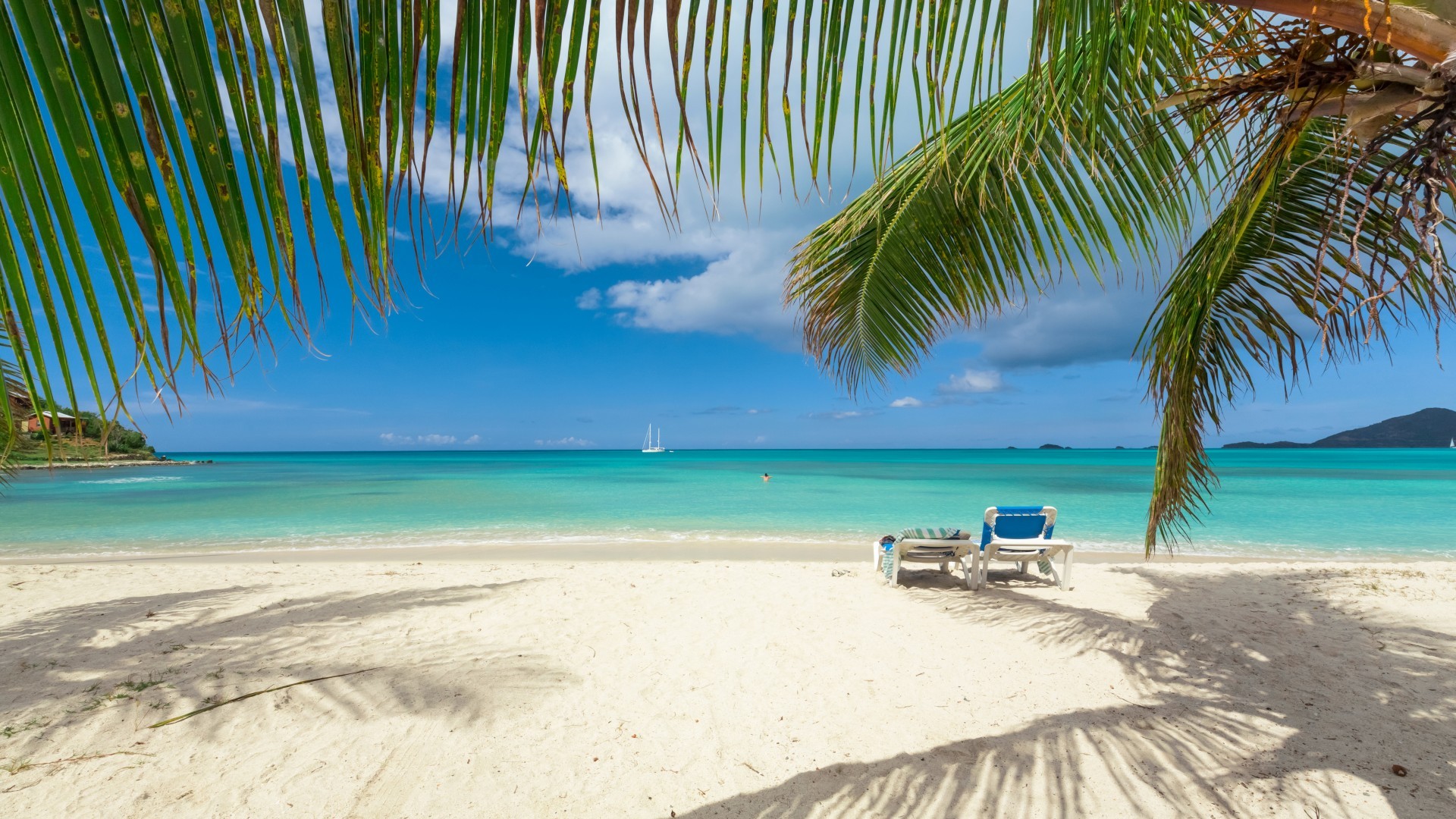 “10 倍速度，0 倍理解？”AI 代写代码的那些坑