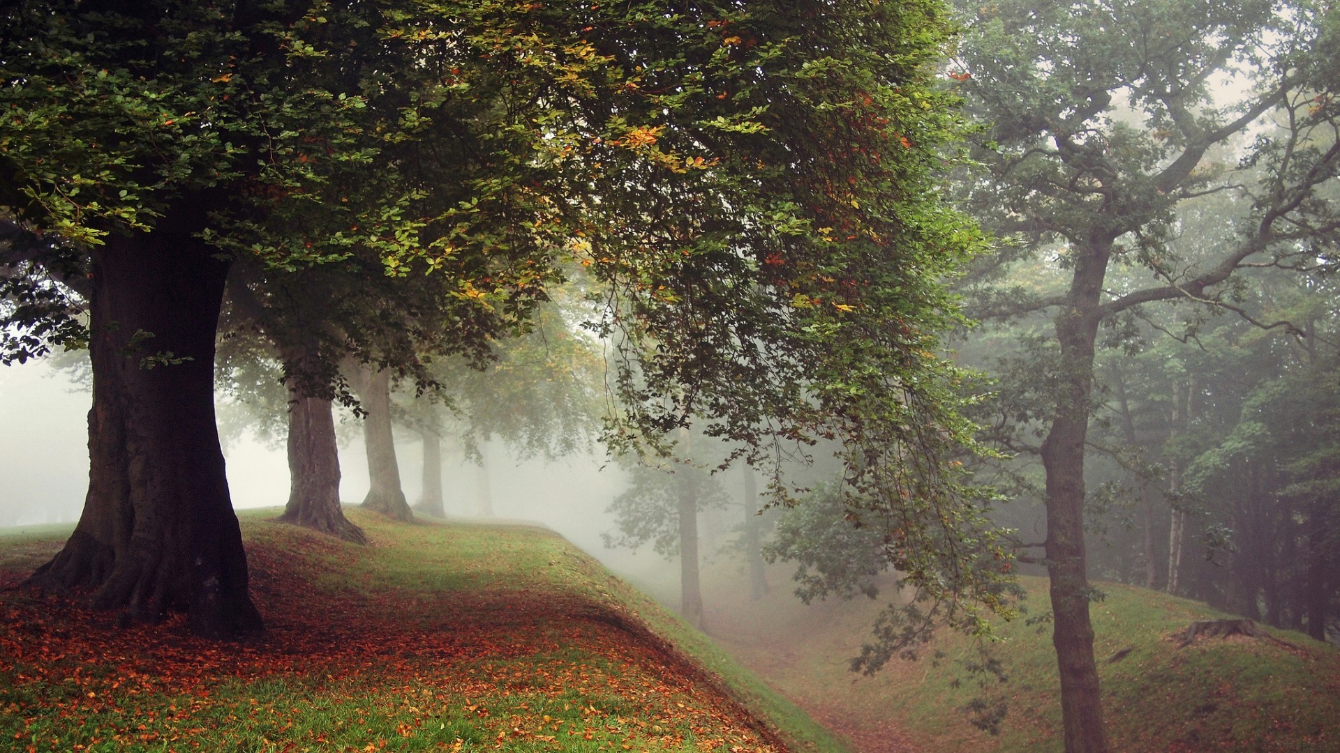 JavaScript 内存泄漏排查方法