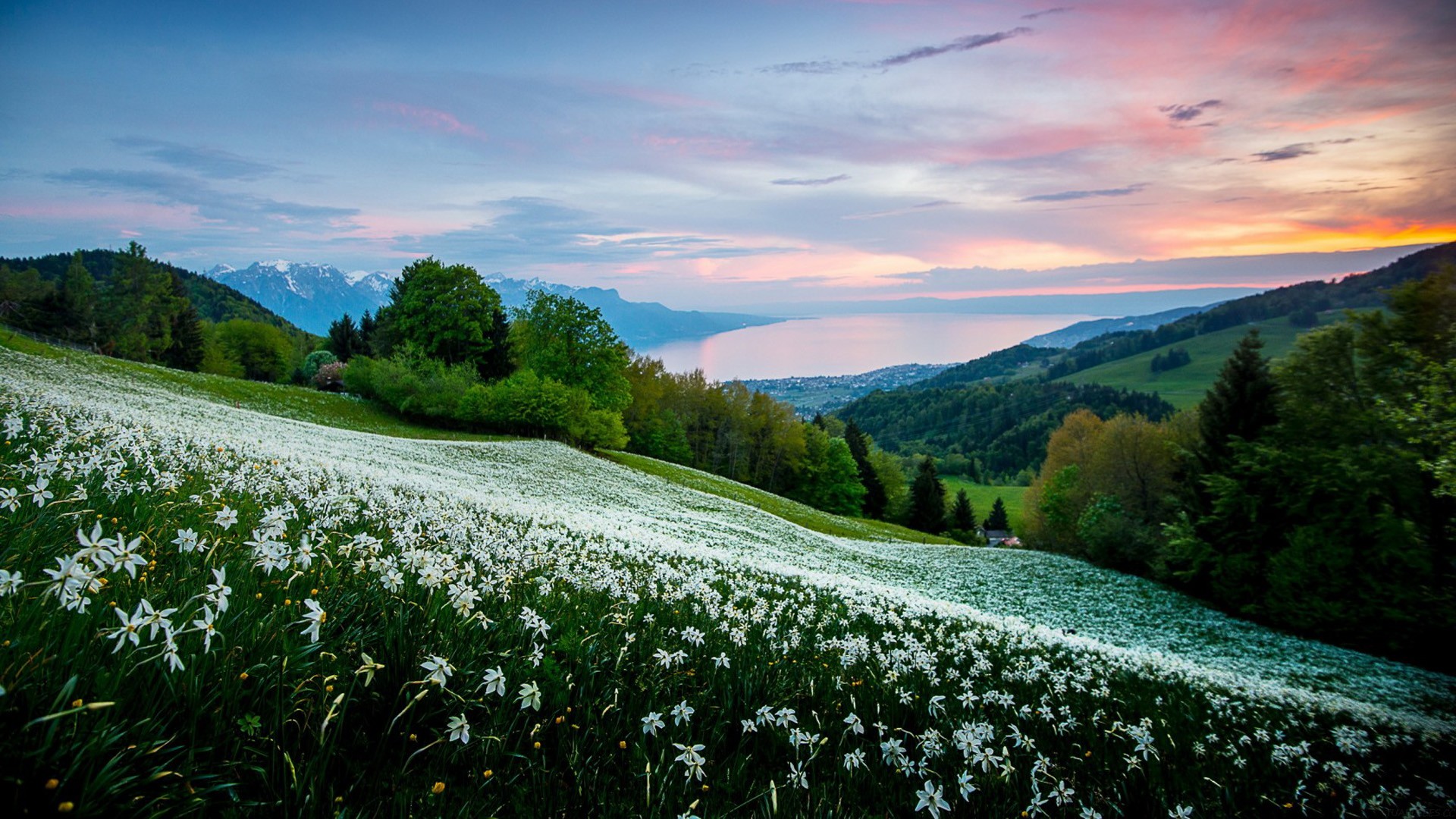 万亿参数狂欢！一文刷爆 2025 年七大顶流大模型架构