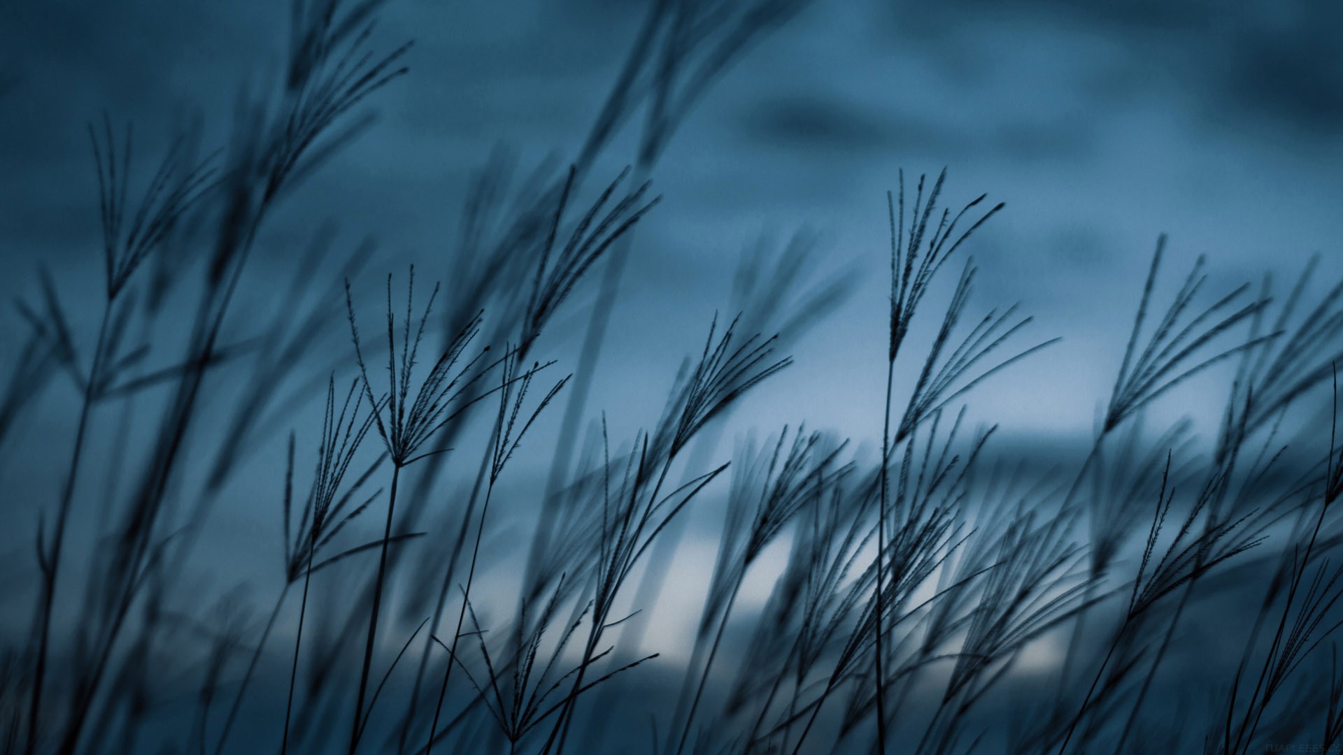 美国知名风投 BVP 年度 AI 报告：Memory 和 Context 将是新的护城河