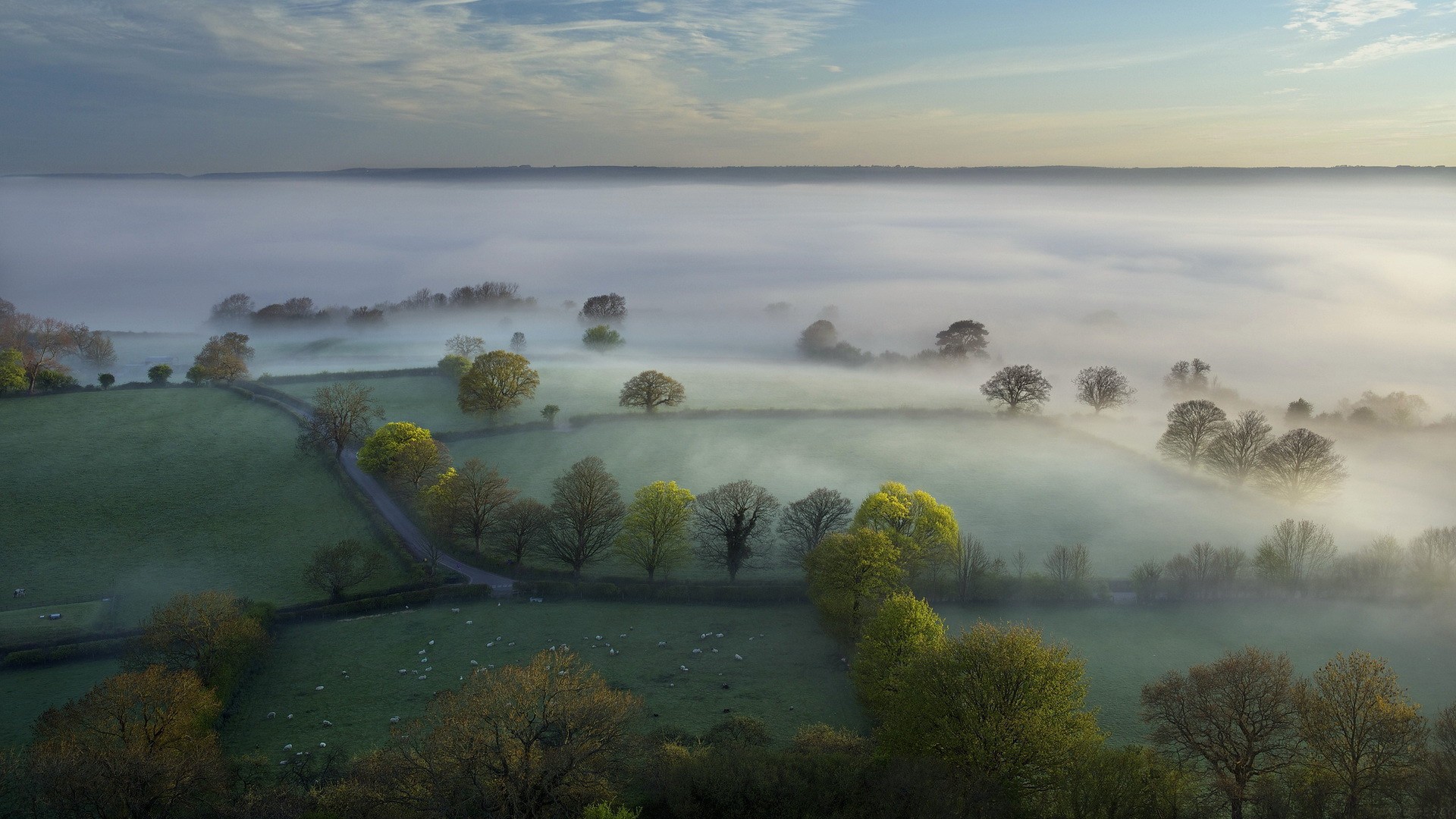 Qwen3 新模型 Coder：性能、价格、可用性｜全详解，包括官方没说的