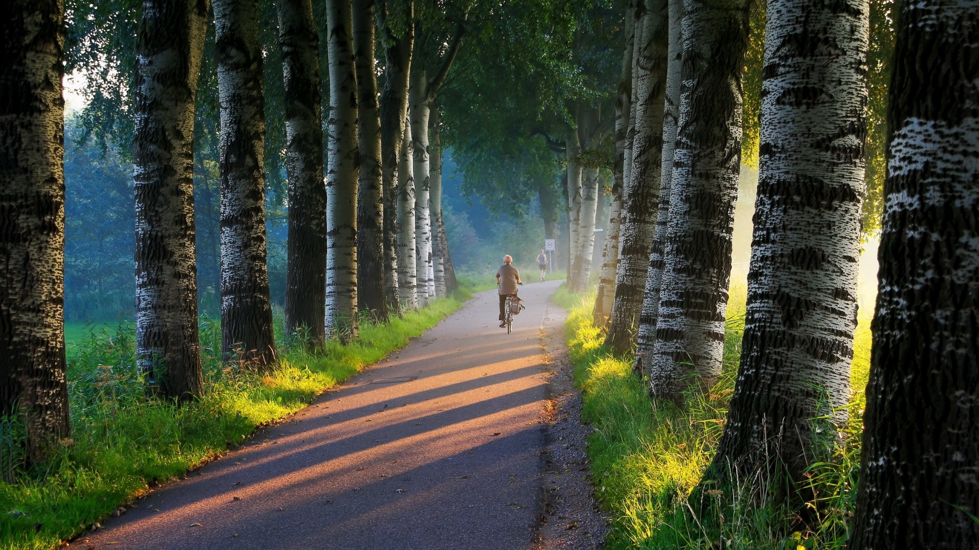 Lovart 国内版来了，不排队不要邀请码，更懂中国设计师