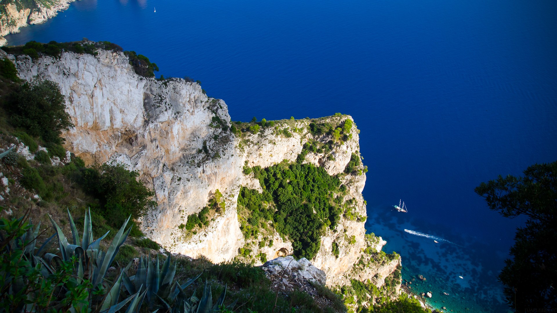 花了 3 天时间，万字长文一口气评测四大 AI 浏览器：Dia、Fellou、Comet、Edge。