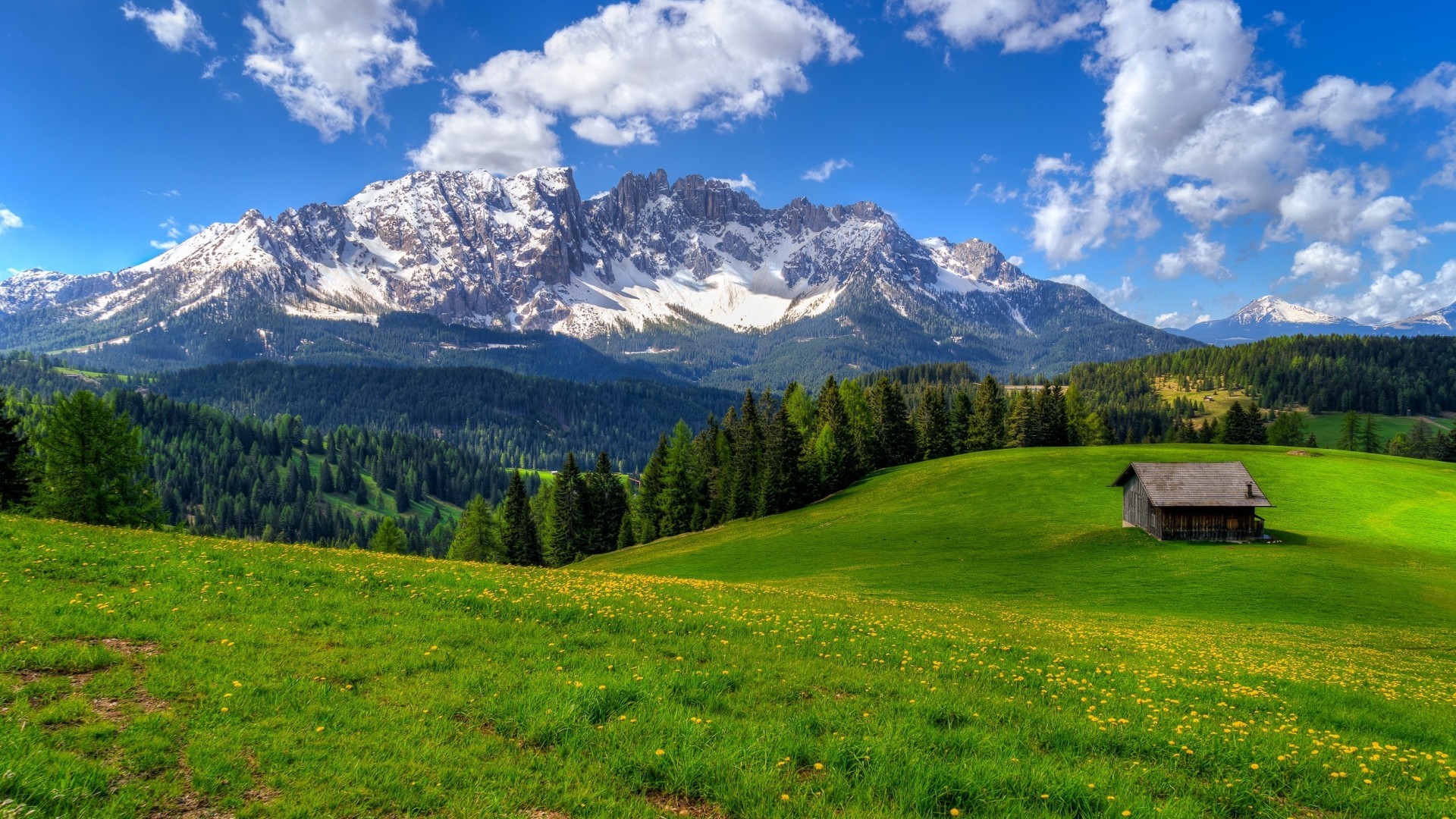 与 Cursor 结对编程的四个月，我大彻大悟了！