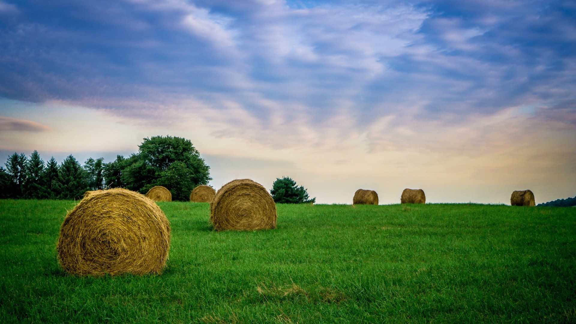 这不是一台机器,而是您利润的永动机。(图2) 这不是一台机器,而是您利润的永动机。(图2)